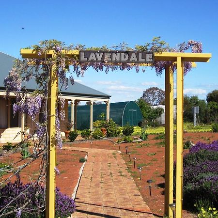 Lavendale Country Retreat Villa Йорк Екстериор снимка